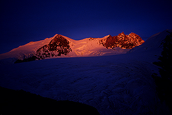 Bishorn_001.jpg