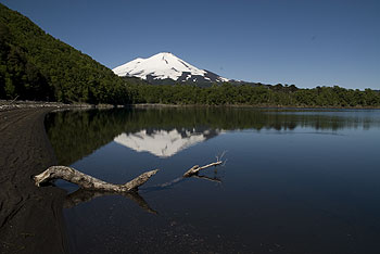 Conguillio024.jpg