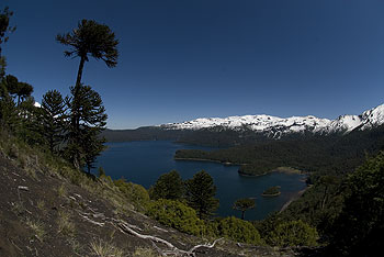 Conguillio030.jpg