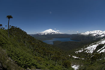 Conguillio046.jpg