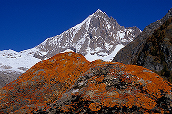 Flechten_002.jpg