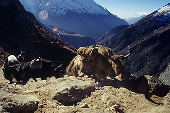 Gokyo02.jpg