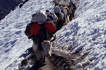 Gokyo14.jpg
