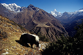 Gokyo16.jpg