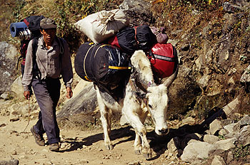 Khumbu_04.jpg