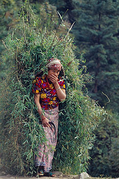 Khumbu_15.jpg
