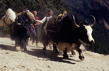 Khumbu_26.jpg