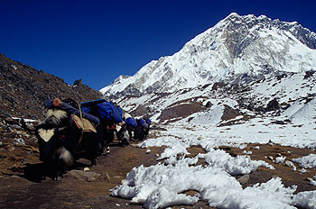 Khumbu_41.jpg