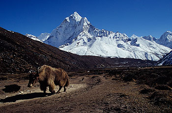 Khumbu_49.jpg
