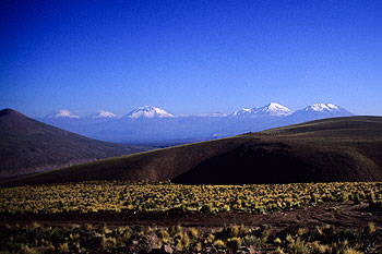 Nordchile38.jpg