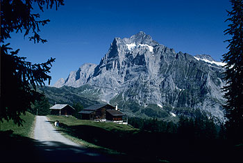 Wetterhorn1001.jpg