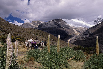 alpamayo_03.jpg