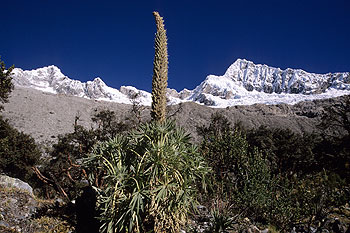 alpamayo_05.jpg