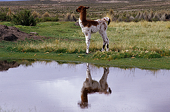 bolivien_08.jpg