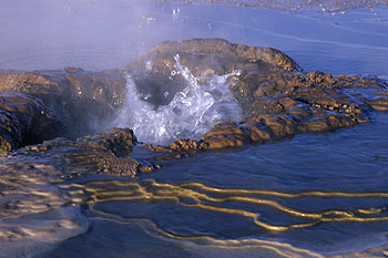 el-tatio_06.jpg