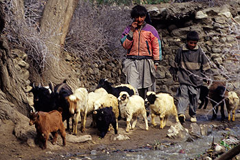 karakorum-highway_38.jpg