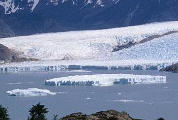 lago-grey_05.jpg