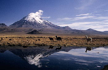 sajama_05.jpg