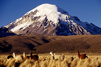 sajama_07.jpg
