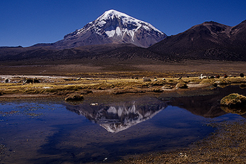 sajama_20.jpg