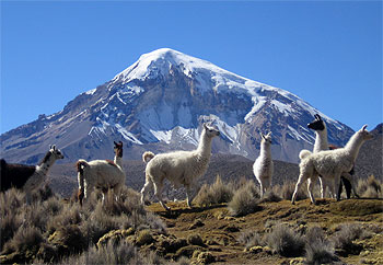sajama_22.jpg